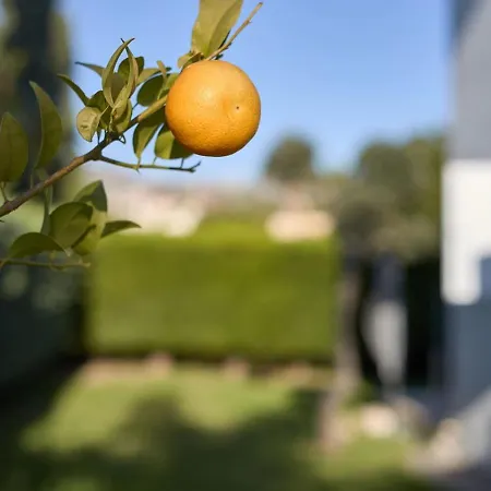 Persifonia - 3br Family Retreat Near Coral Bay بيت للعطل *