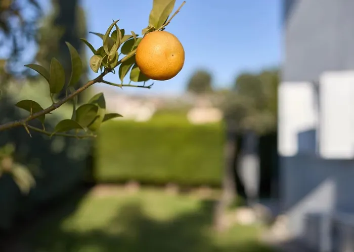 Persifonia - 3br Family Retreat Near Coral Bay 別荘 *